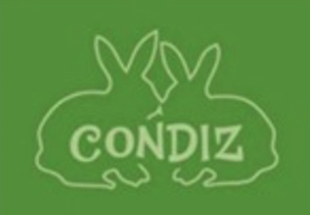 CONDIZ